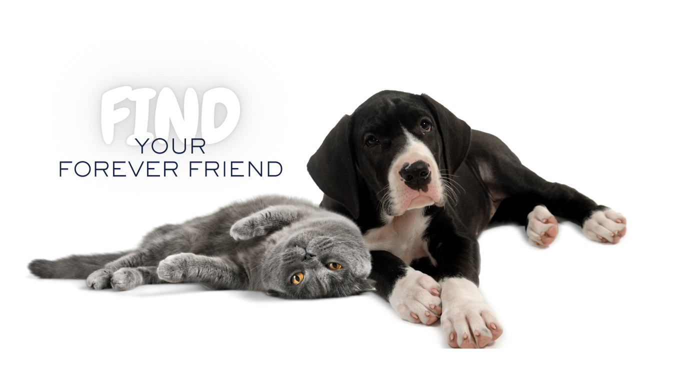 slider image slider_item_mD7NxG