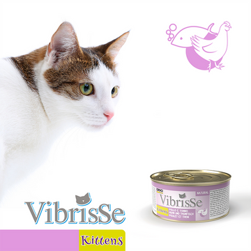 Croci CVIBRISSE KITTENS TUNA AND CHICKEN 70 g - فيبريس للقطط الصغيرة بالتونة والدجاج 70 جم - طعام رطب للقطط - Zue For Pet Supplies Co.