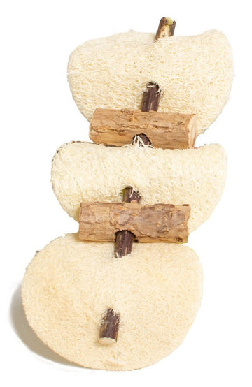 Farm Company Green Matatabi and Loofah BBQ Cat toy - 12 cm - مستلزمات الحيوانات الأليفة - Zue For Pet Supplies Co.