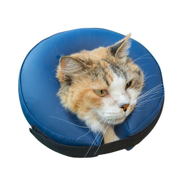 Farm Company Inflatable Buster Collar for dogs and cats - XS - مستلزمات الحيوانات الأليفة - Zue For Pet Supplies Co.