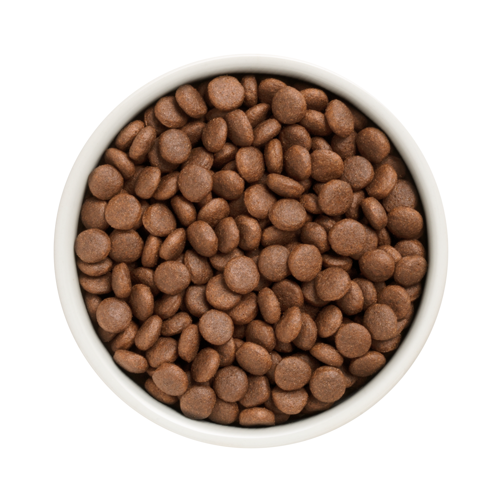 Grandorf Duck & Turkey - Adult Medium & Maxi Dog 3kg - طعام الكلاب - Zue For Pet Supplies Co.