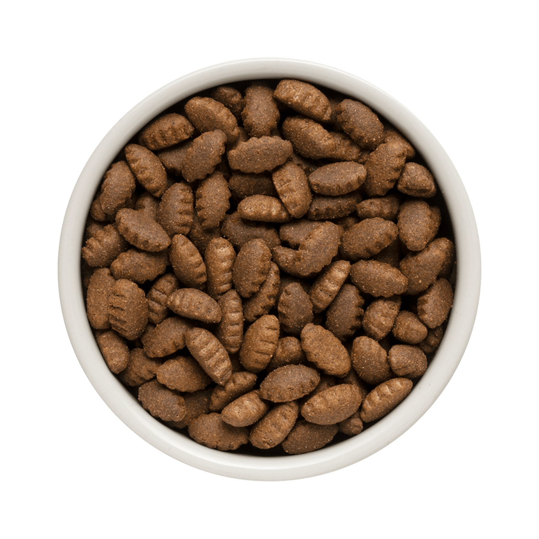 Grandorf Lamb & Turkey - Adult Medium&Maxi Breeds Dog 10kg - طعام الكلاب - Zue For Pet Supplies Co.