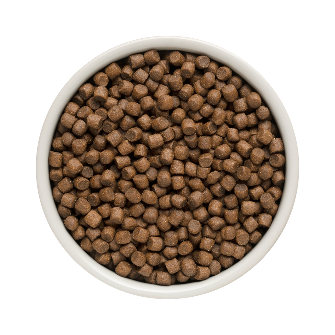 Grandorf Lamb & Turkey - Adult Mini Breeds Dog 1kg - طعام الكلاب - Zue For Pet Supplies Co.