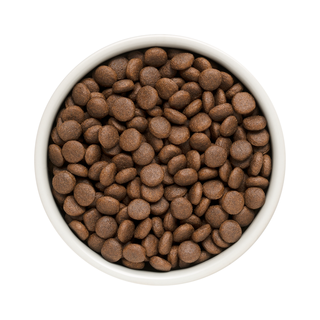 Grandorf Lamb & Turkey  -  Junior Medium & Maxi Dog 3kg - طعام الكلاب - Zue For Pet Supplies Co.