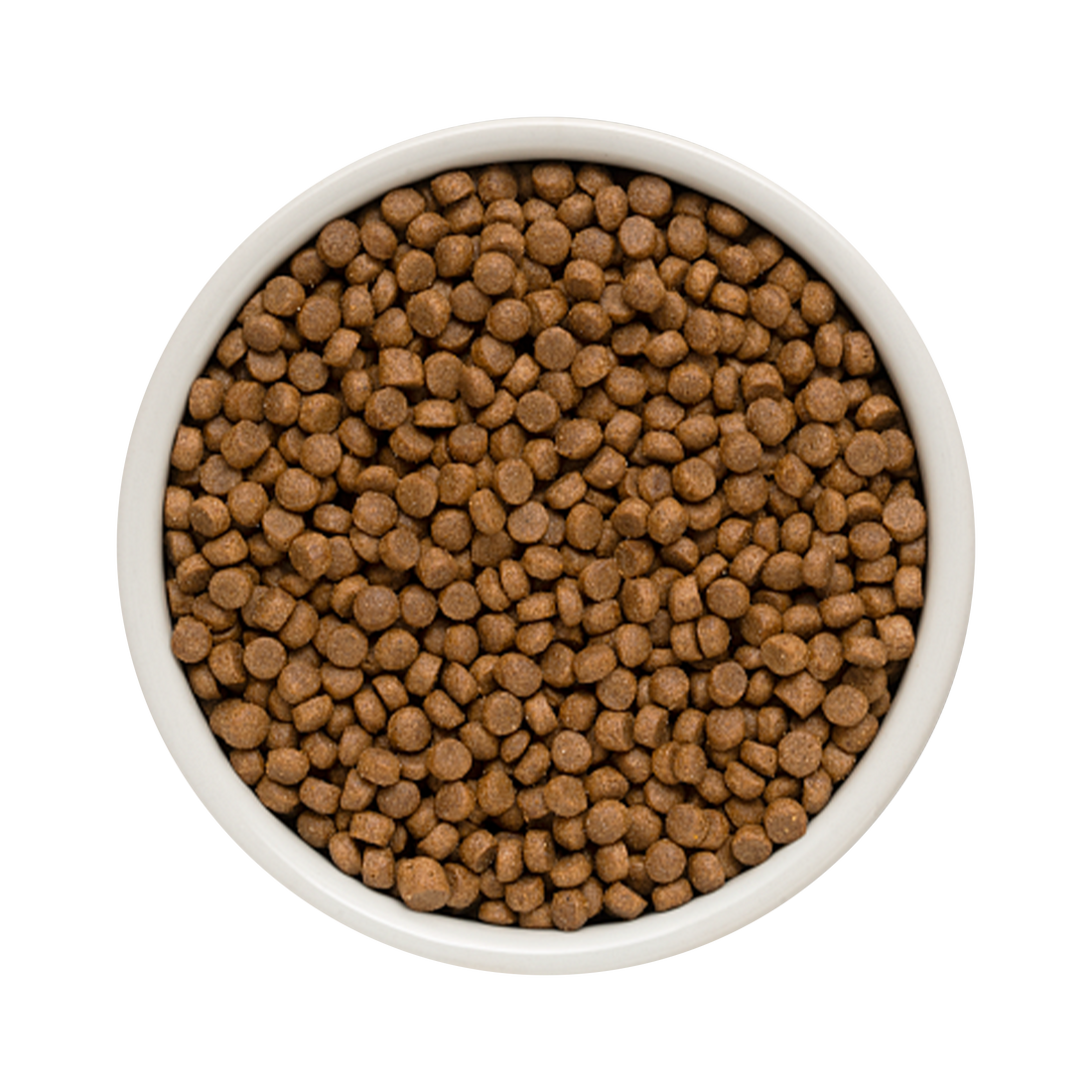 Grandorf Lamb & Turkey  -  Puppy 1kg - طعام الكلاب - Zue For Pet Supplies Co.