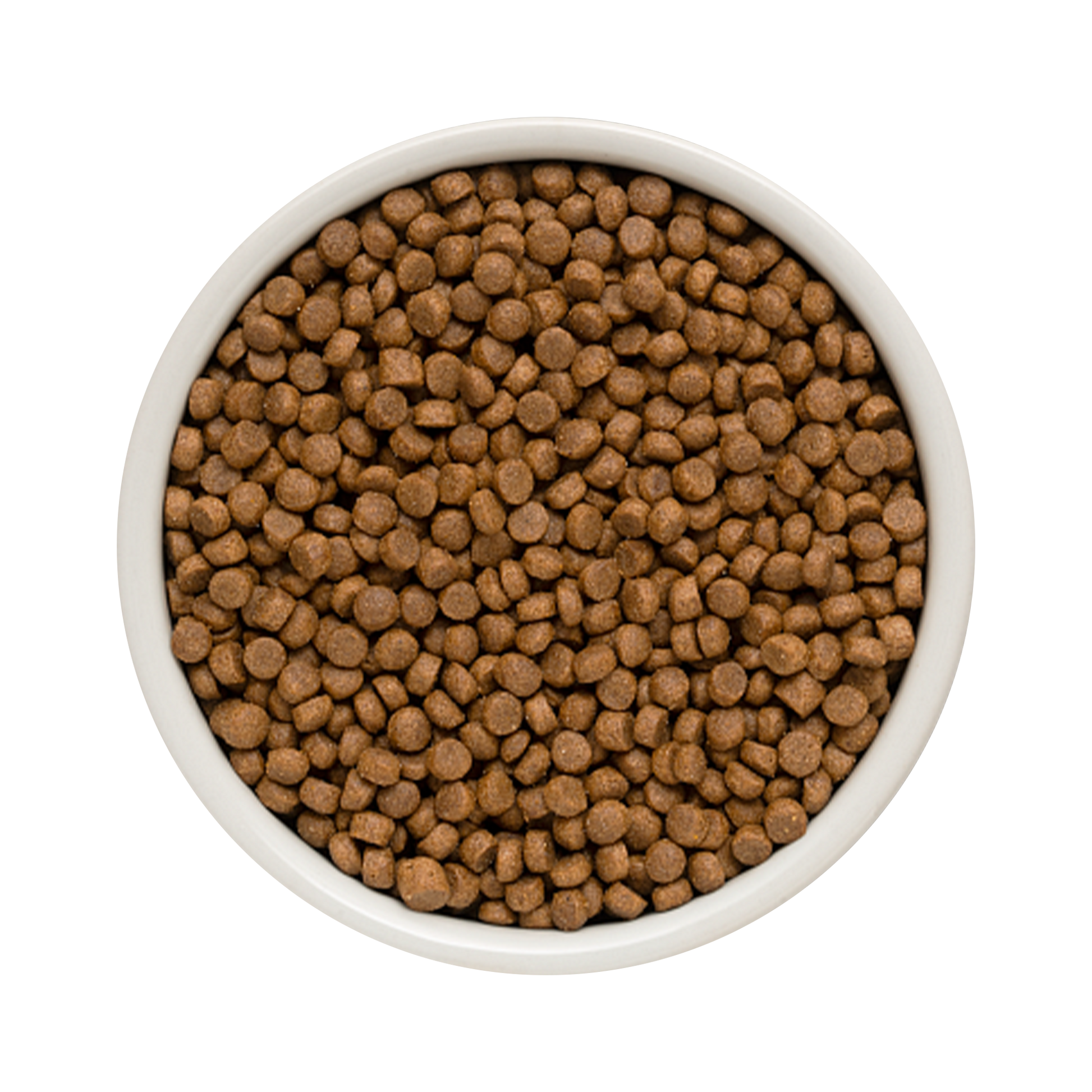 Grandorf Lamb & Turkey  -  Puppy 1kg - طعام الكلاب - Zue For Pet Supplies Co.