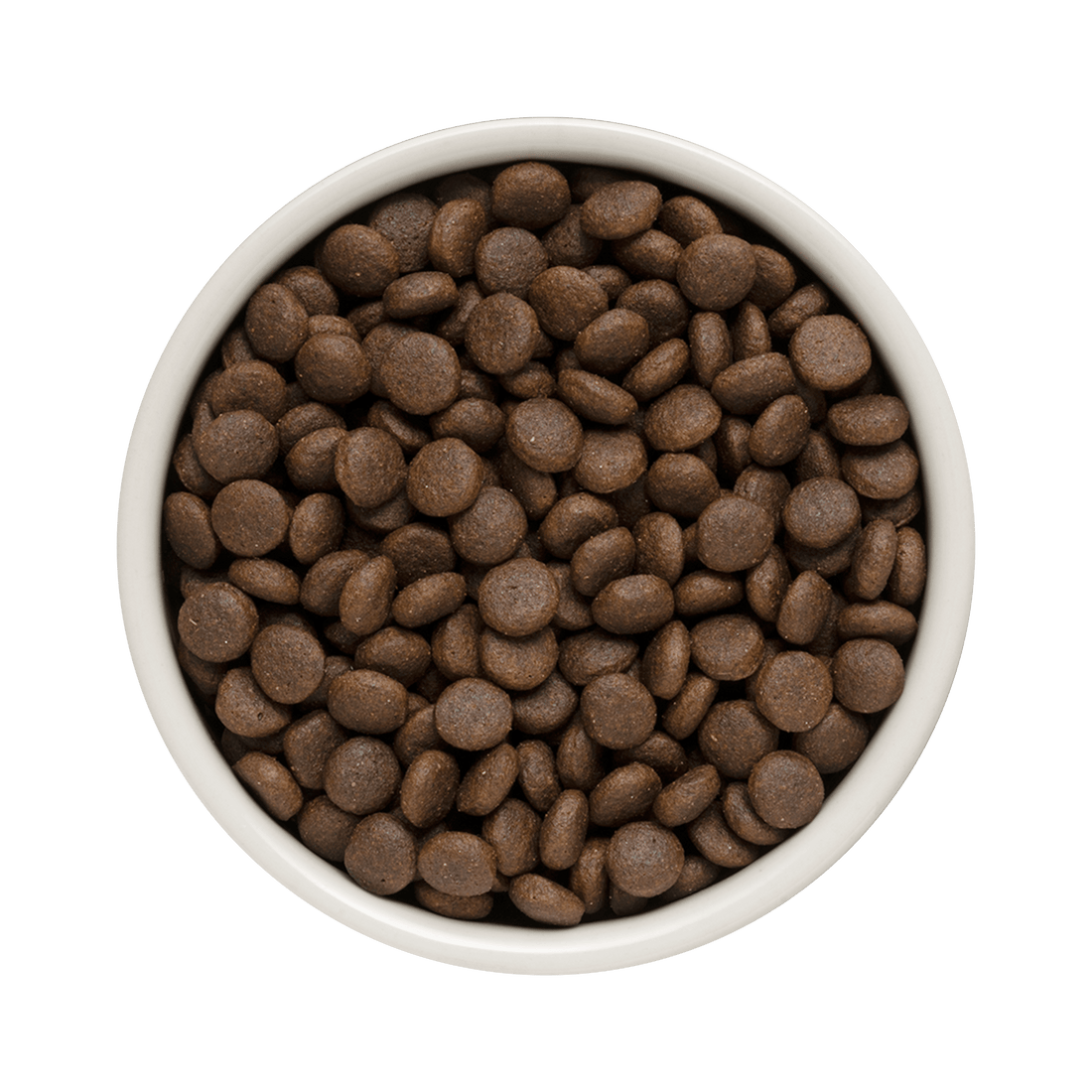 Grandorf Rabbit & Turkey - Adult Medium & Maxi 10kg - طعام الكلاب - Zue For Pet Supplies Co.