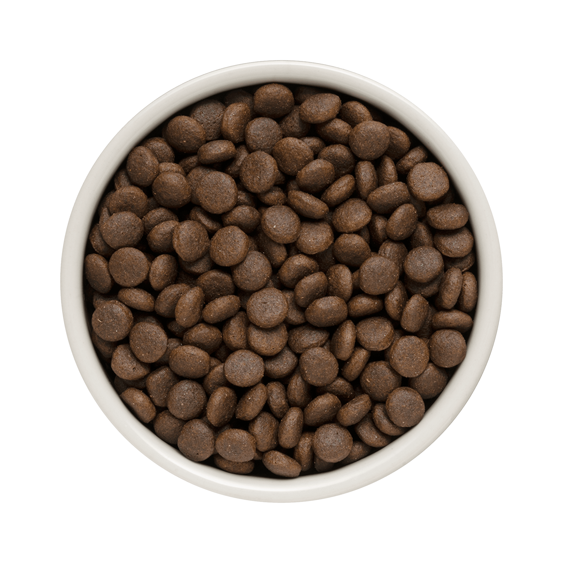 Grandorf Rabbit & Turkey - Adult Medium & Maxi 10kg - طعام الكلاب - Zue For Pet Supplies Co.