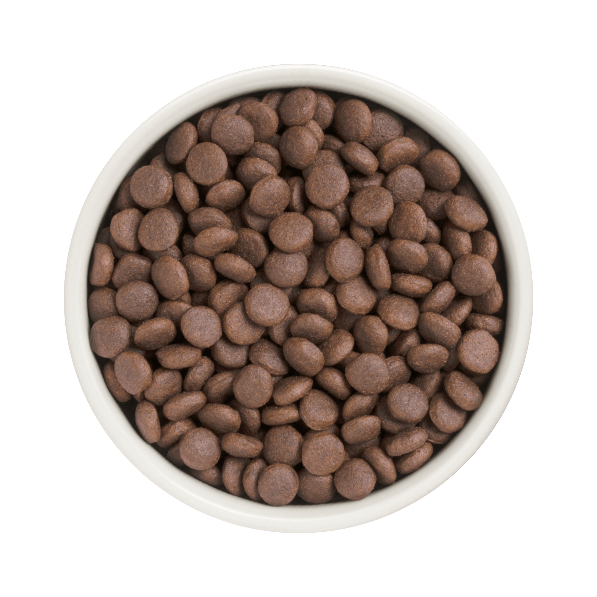 Grandorf Turkey - Adult Medium & Maxi Breeds Dog 3kg - طعام الكلاب - Zue For Pet Supplies Co.