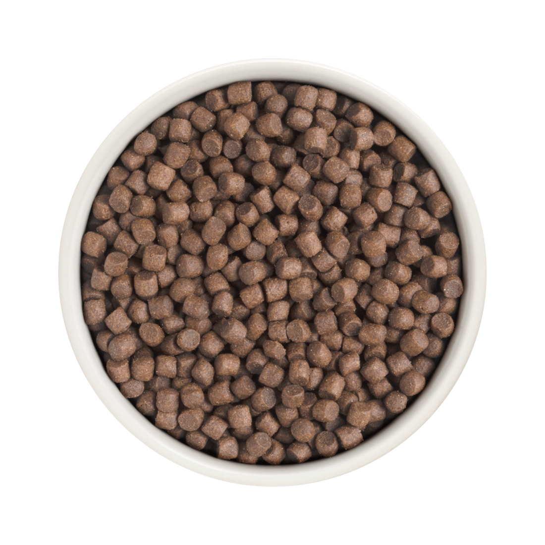 Grandorf Turkey  -  Adult Mini Breeds 1kg - طعام الكلاب - Zue For Pet Supplies Co.