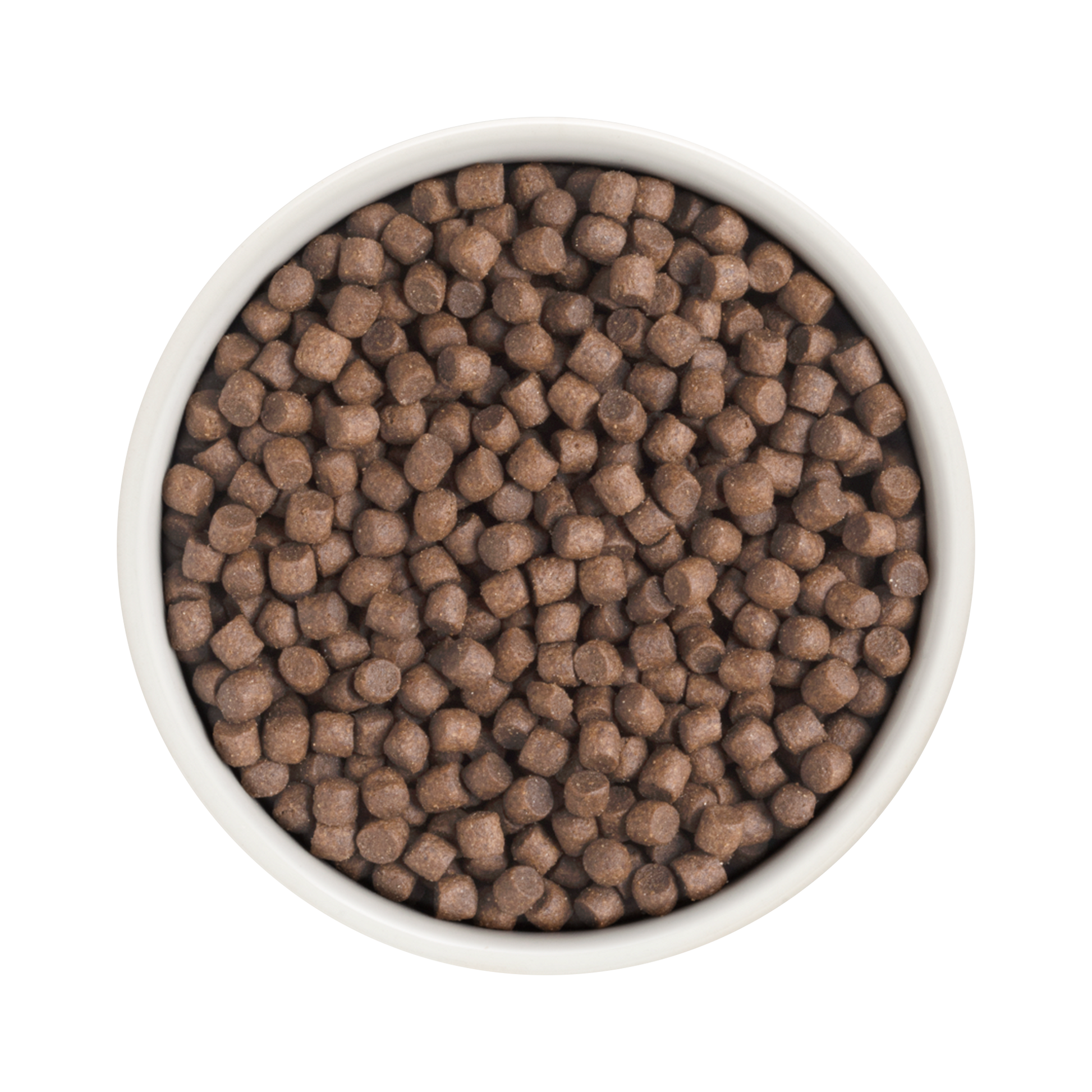 Grandorf Turkey  -  Adult Mini Breeds 1kg - طعام الكلاب - Zue For Pet Supplies Co.