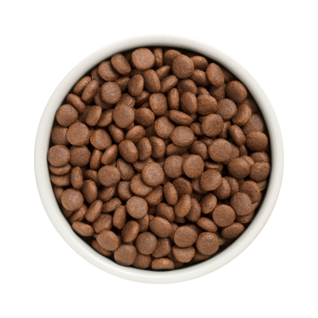 Grandorf Duck & Turkey  -  Adult Medium & Maxi Breeds Dog 1kg - طعام الكلاب - Zue For Pet Supplies Co.