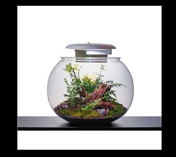 Kyu Globe H45XD50cm 52L - حوض السمك - Zue For Pet Supplies Co.