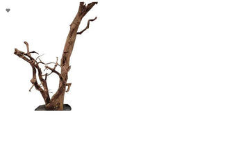 Wood Root+Slate Rock 45-60cm - اكسسوارات الأسماك - Zue For Pet Supplies Co.