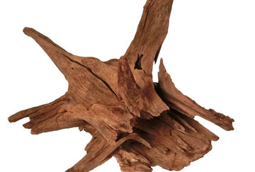 Corbo Catfish Root 30-40cm - اكسسوارات الأسماك - Zue For Pet Supplies Co.