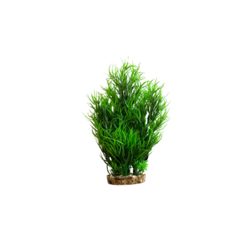 Hugo Mizu Juncus Green 30cm - ديكور حوض السمك - Zue For Pet Supplies Co.