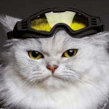 Croci Ski Glasseshorizon Black M - تزلج جلاسشوريزون بلاك م - اكسسوارات القطط - Zue For Pet Supplies Co.