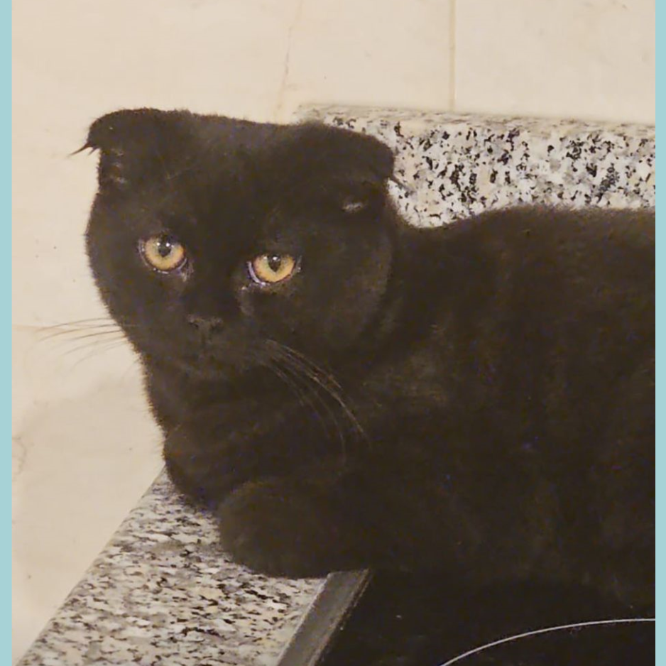 British / Male & Female / 5 Years