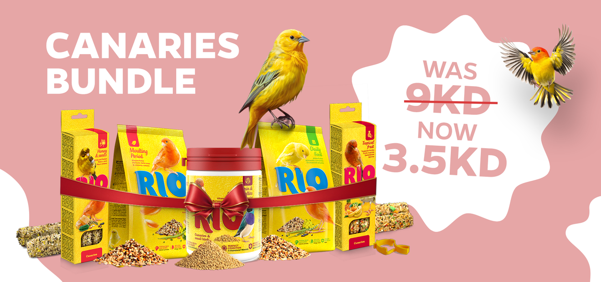 Rio Feed | Zue For Pet Supplies Co.