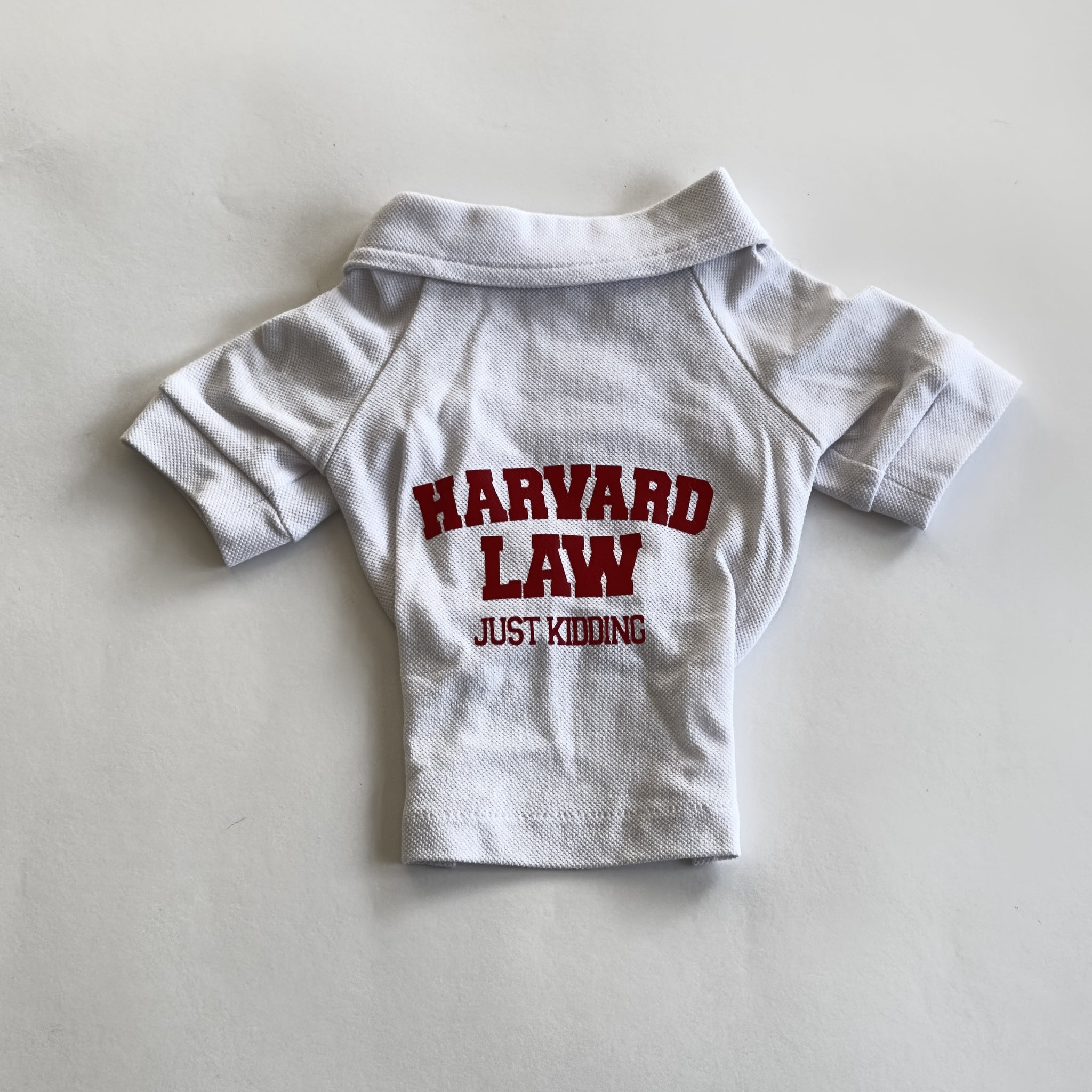 Ziggy Dog Harvard T-Shirt XL - ملابس للحيوانات الأليفة