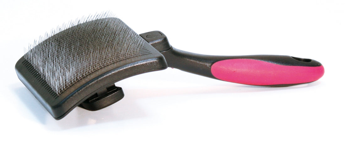 Croci Carder Vanity Self-Cleaning large - كروسي كاردر فانيتي للتنظيف الذاتي حجم كبير - اكسسوارات الحيوانات الأليفة - Zue For Pet Supplies Co.