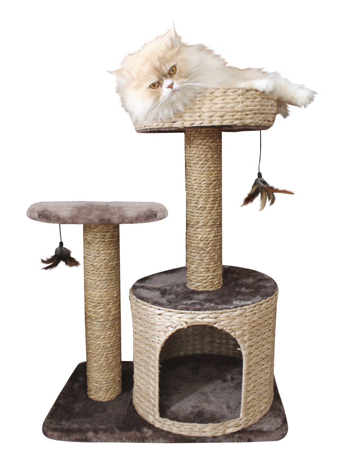 Croci Cat Scrapers Natural Larix - كاشطات القطط من كروسي لاريكس الطبيعية - اكسسوارات القطط - Zue For Pet Supplies Co.