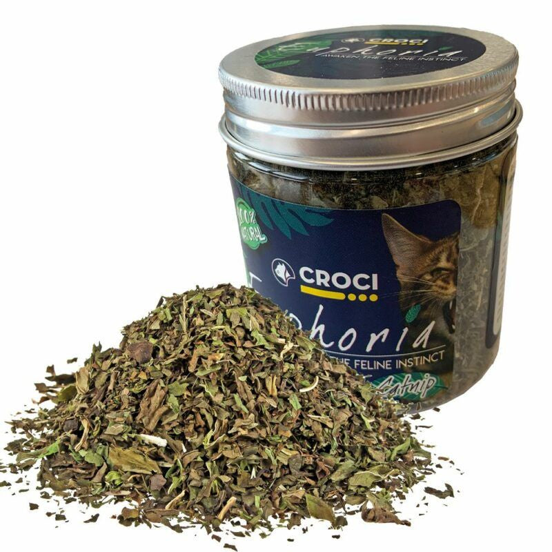 Croci Euphoria Catnip Jar - 25gr - جرة النعناع البري ايفوريا من كروسي - 25 جم - العاب القطط - Zue For Pet Supplies Co.