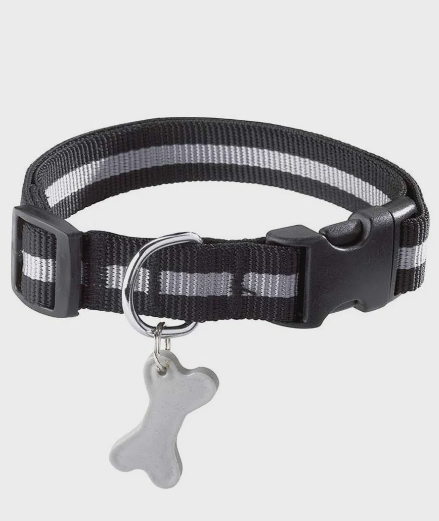 Croci Collar  Black - طوق كروسي باللون الأسود - طوق للكلاب - Zue For Pet Supplies Co.
