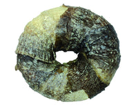 Croci bbq Party Donut with Fish - 9cm - دونات كروسي لحفلة الشواء مع السمك - 9 سم - مكافأت الحيوانات الأليفة - Zue For Pet Supplies Co.