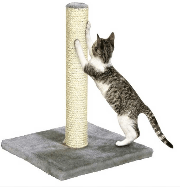 Farm Company Scratching post sisal Maxi - cm 38x38x60 - مستلزمات الحيوانات الأليفة - Zue For Pet Supplies Co.