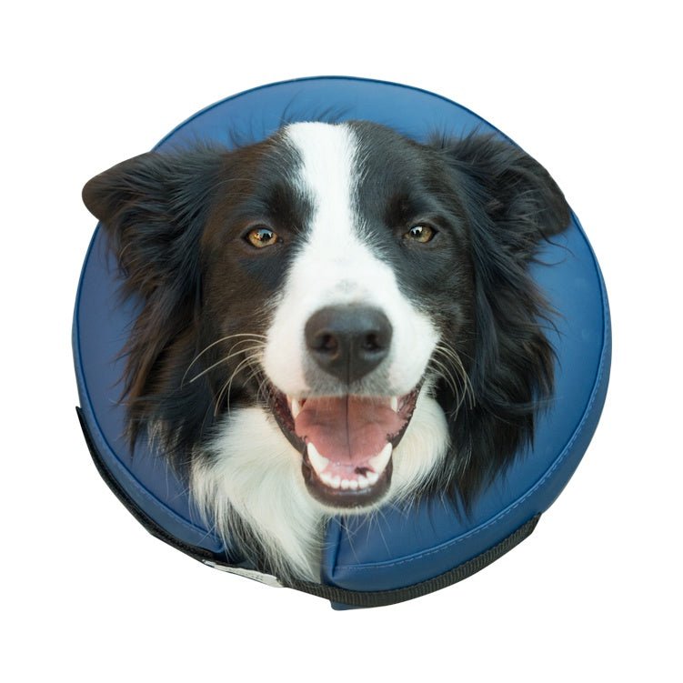 Farm Company Inflatable Buster Collar for dogs - L - اكسسوارات الكلاب - Zue For Pet Supplies Co.