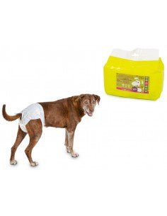 Farm Company Female disposable diapers - L 50 to 68cm 12 pcs/bag - مستلزمات الحيوانات الأليفة - Zue For Pet Supplies Co.