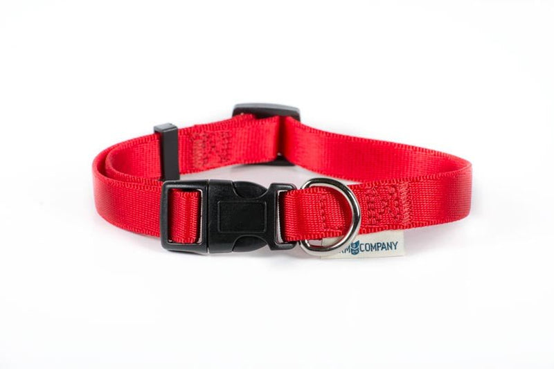 Farm Company Nylon adjustable collar Red - 25mmx45 60cm - طوق الكلاب - Zue For Pet Supplies Co.