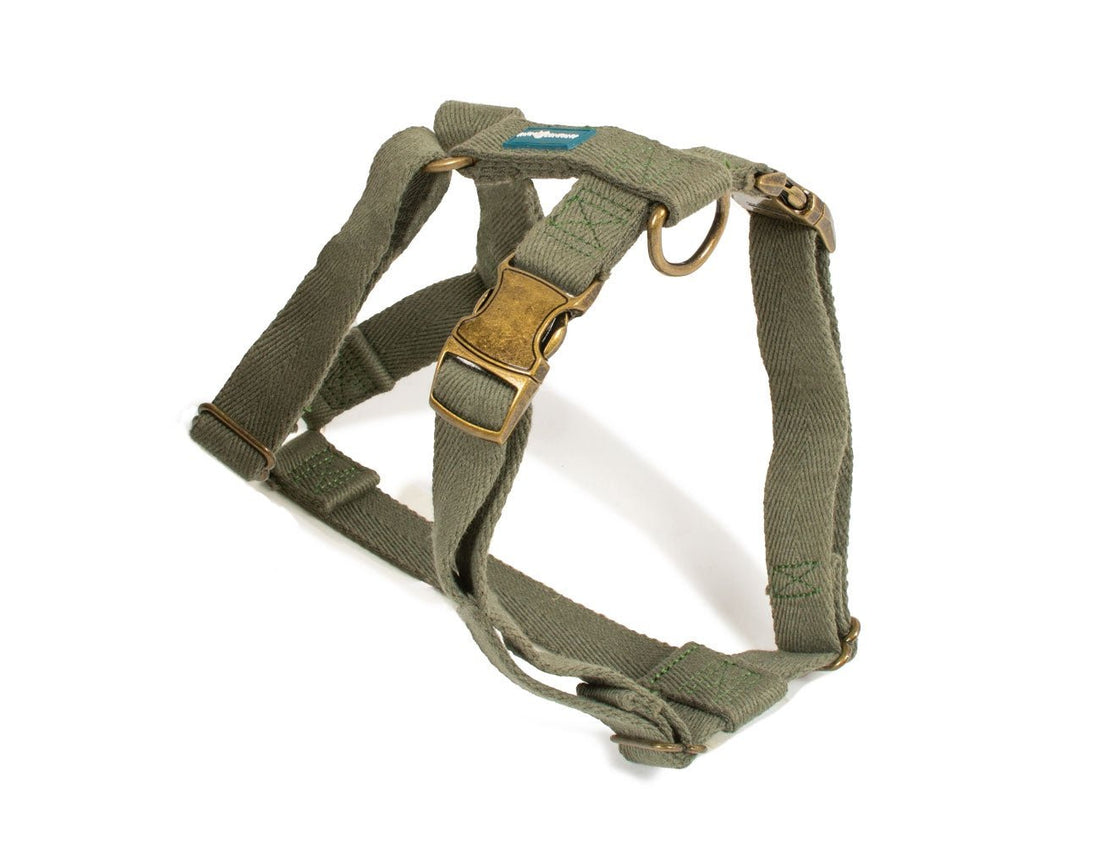 Farm Company Green Soybean Adjustable Harness Olive Green - 2x40 50cm - مجموعة رباط تحكم وصدرية للكلاب - Zue For Pet Supplies Co.