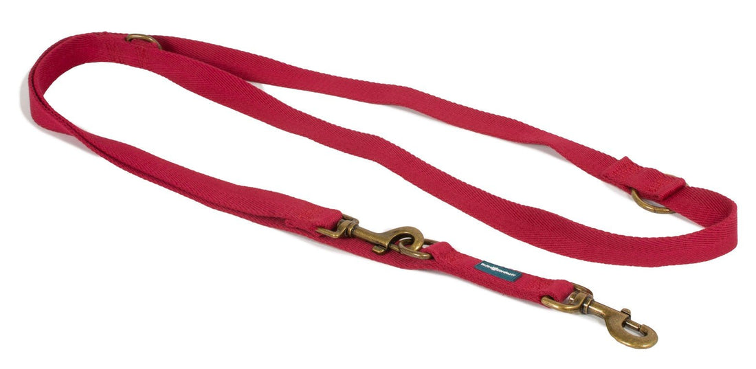 Farm Company Green Soybean Training Leash Burgundy - L/XL 2.5x230cm - رباط تحكم للكلاب - Zue For Pet Supplies Co.