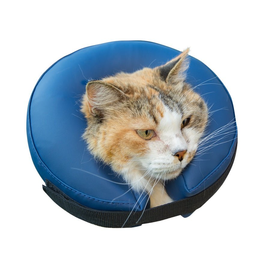 Farm Company Inflatable Buster Collar for dogs and cats - XS - مستلزمات الحيوانات الأليفة - Zue For Pet Supplies Co.
