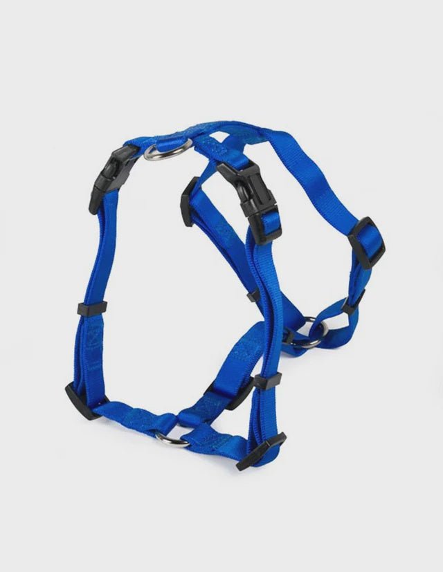 Farm Company Nylon harness H model Blue Navy - 20mmx50 71cm - مستلزمات الحيوانات الأليفة - Zue For Pet Supplies Co.