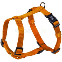 Farm Company Nylon harness H model Fluo Orange - 20mmx50 71cm - مستلزمات الحيوانات الأليفة - Zue For Pet Supplies Co.