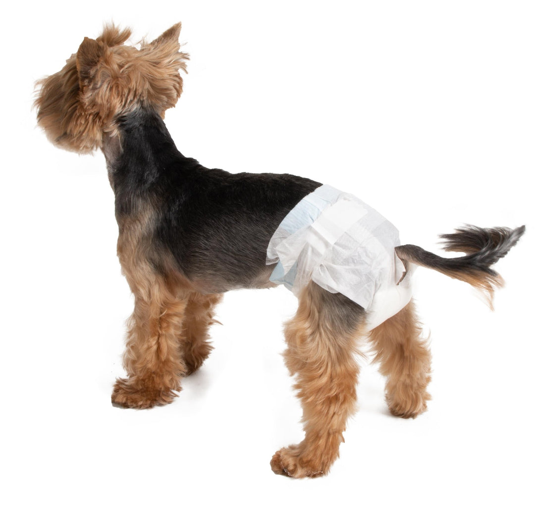 Farm Company Female Disposable Diapers - XL 63 to 80cm 12pcs/bag - مستلزمات النظافة والعناية والرعاية - Zue For Pet Supplies Co.