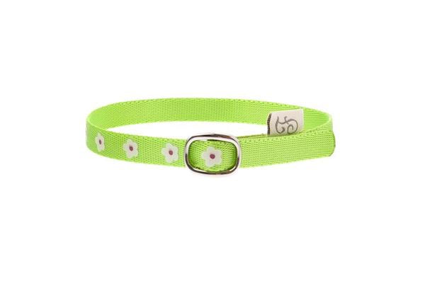 Ferribiella FLOWER GREEN CAT COLLAR 1X35CM - Zue For Pet Supplies Co.
