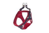 Ferribiella Kami Harness XXS 28-34cm Red - مجموعة رباط تحكم وصدرية للكلاب - Zue For Pet Supplies Co.