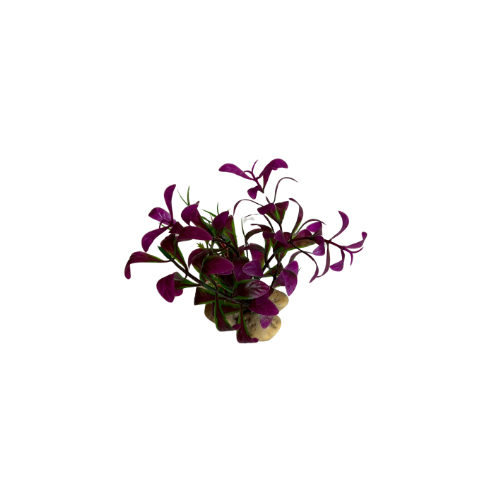 Flamingo Aq.Plant With Stones - S ( per pc. ) - اكسسوارات الأسماك - Zue For Pet Supplies Co.