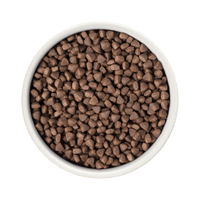 Grandorf Lamb & Turkey - Kitten 2kg - طعام جاف للحيوانات الأليفة - Zue For Pet Supplies Co.