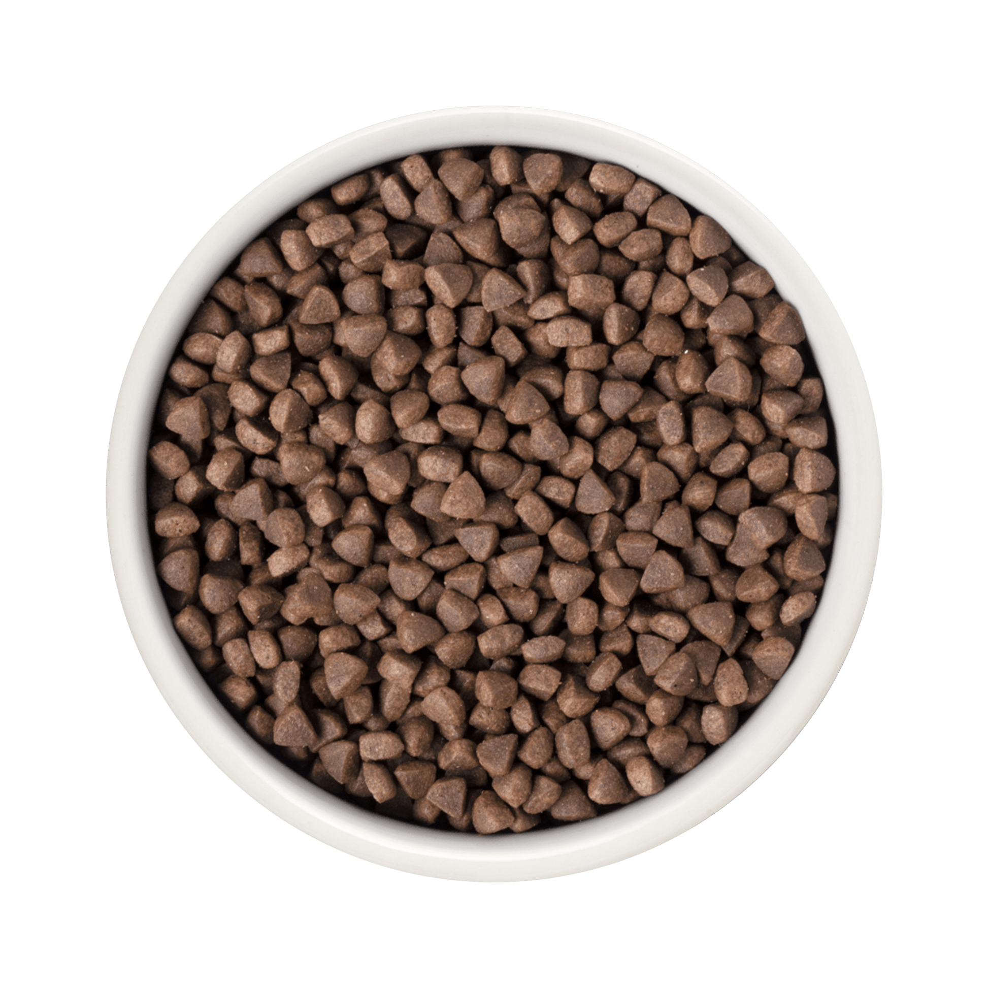 Grandorf Turkey - Adult Sterilized Cat 2kg - طعام جاف للحيوانات الأليفة - Zue For Pet Supplies Co.