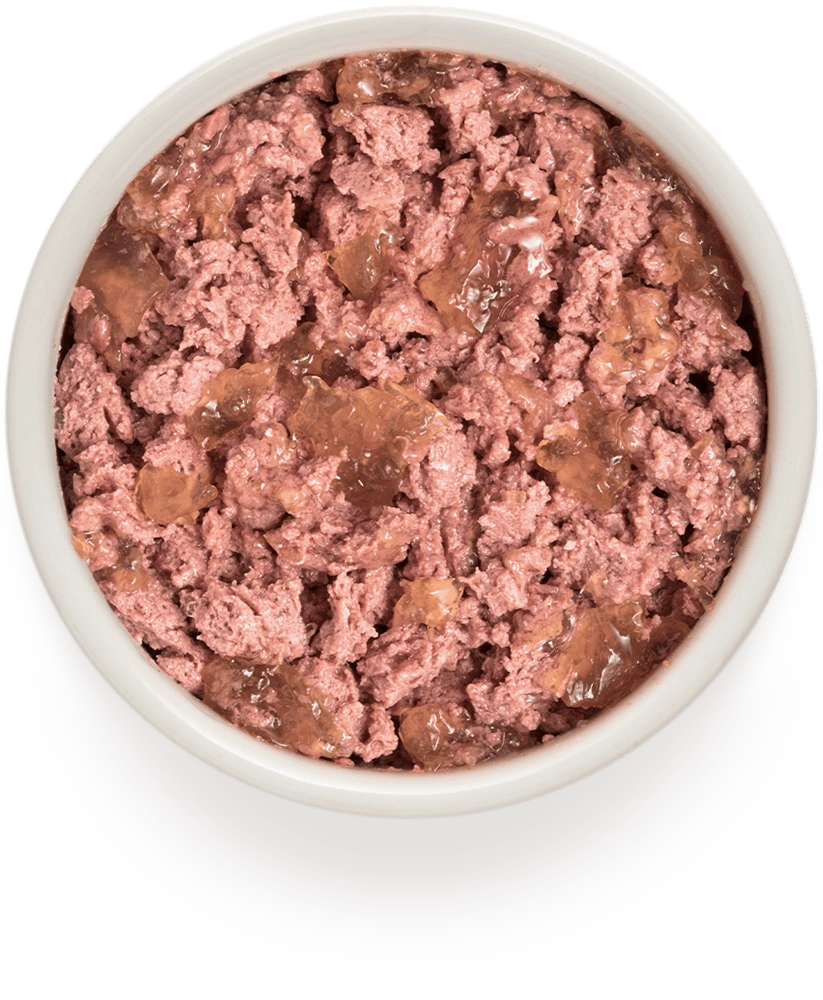 Grandorf Buffalo & Turkey  -  Adult Dog 400g - طعام معلب الكلاب - Zue For Pet Supplies Co.