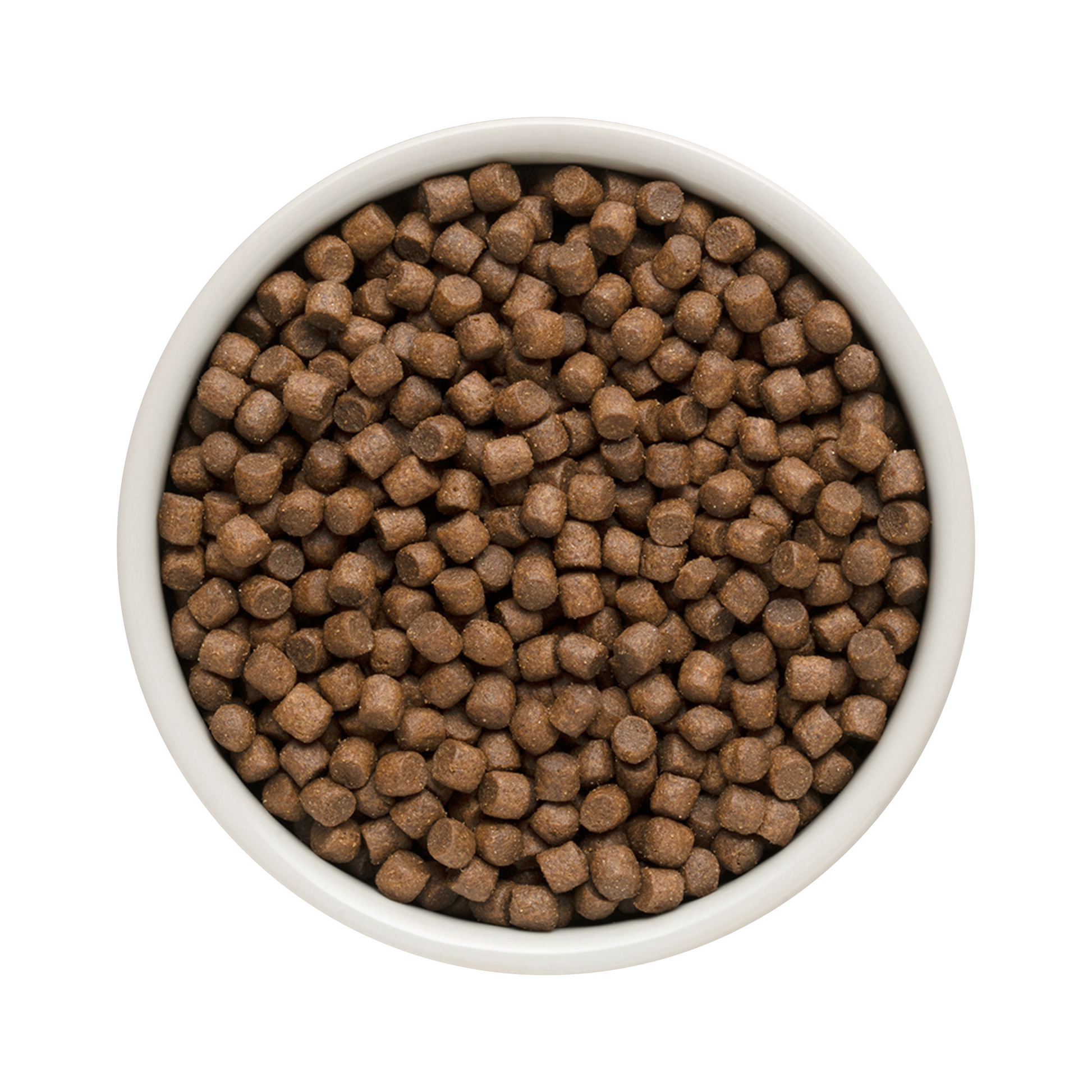 Grandorf Lamb & Turkey - Adult Mini Breeds Dog 1kg - طعام الكلاب - Zue For Pet Supplies Co.