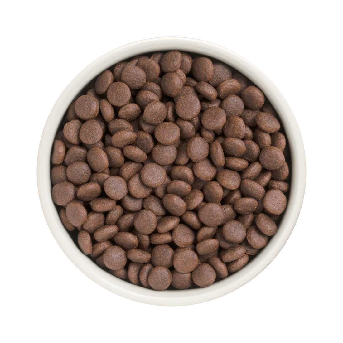 Grandorf Turkey  -  Adult Medium & Maxi Breeds Dog 1kg - طعام الكلاب - Zue For Pet Supplies Co.
