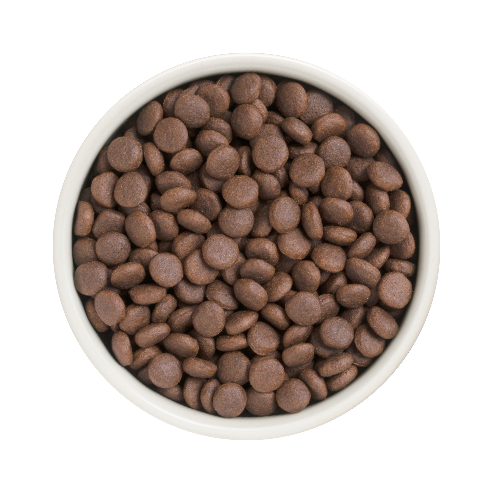 Grandorf Turkey  -  Adult Medium & Maxi Breeds Dog 1kg - طعام الكلاب - Zue For Pet Supplies Co.