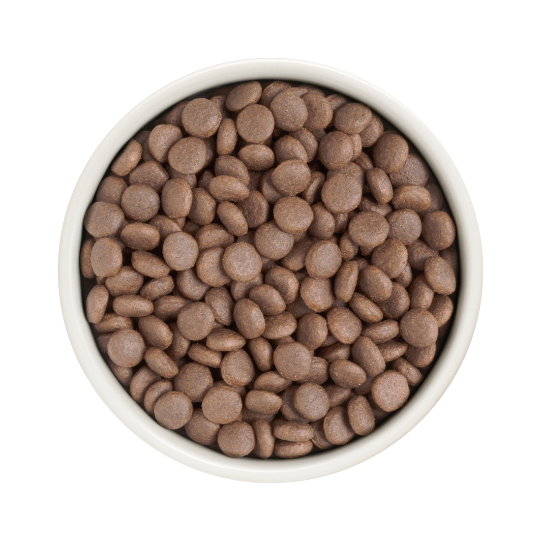 Grandorf White Fish  -   Adult Medium & Maxi Breeds Dog 1kg - طعام الكلاب - Zue For Pet Supplies Co.