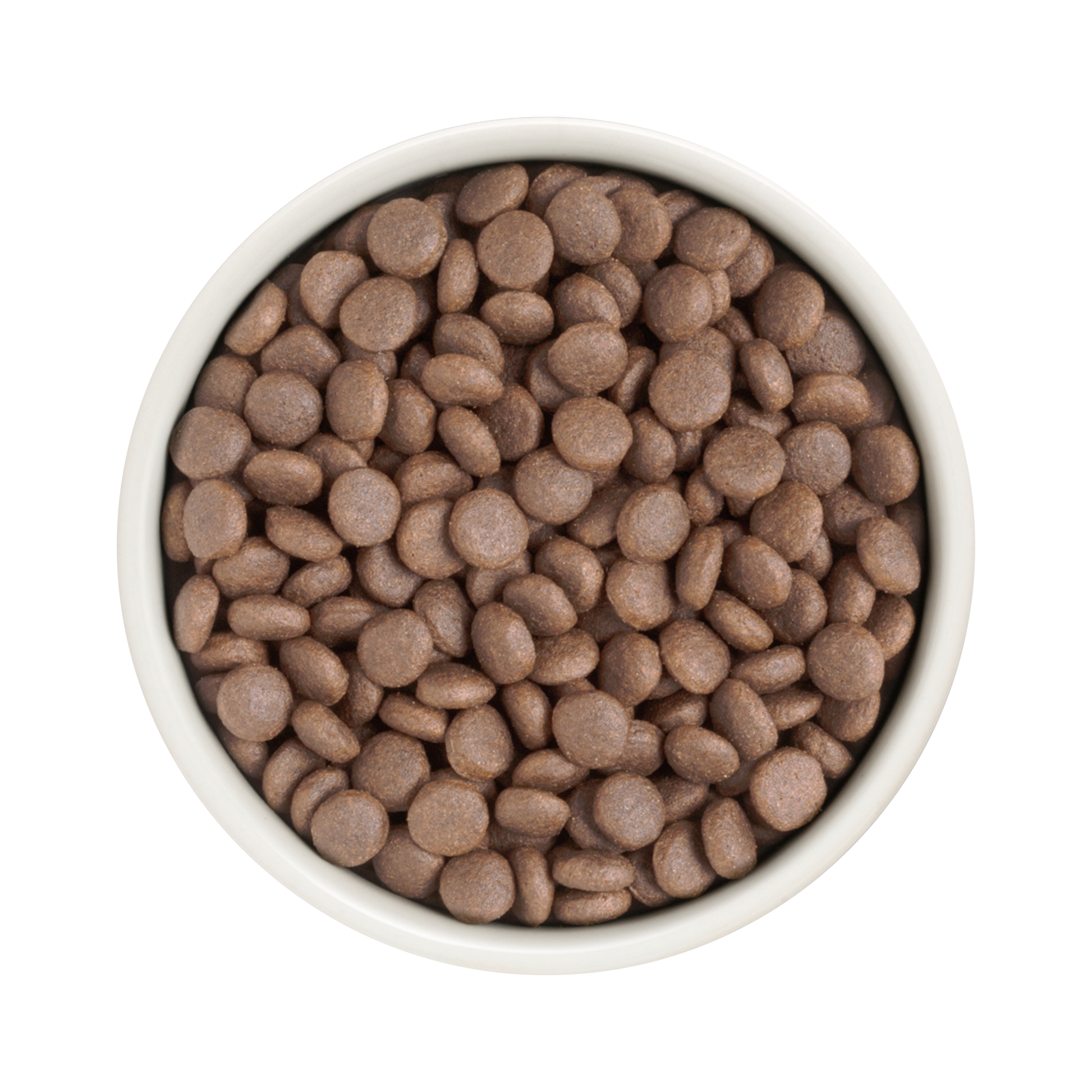 Grandorf White Fish  -   Adult Medium & Maxi Breeds Dog 1kg - طعام الكلاب - Zue For Pet Supplies Co.